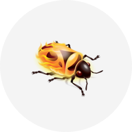 BrowserStack Integration with Firebug Lite
